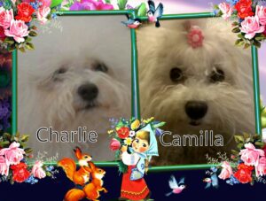 charlie e camilla
